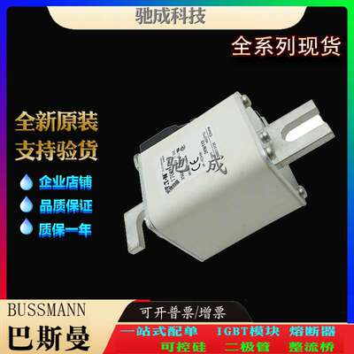 巴斯曼170M5968 170M5969 170M5970 长期 优价供应 快速保险丝