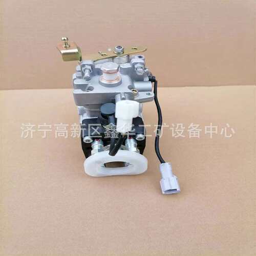 燃油泵VE泵总成3963961 0460424289 VE4 12F1100R963厂家直销