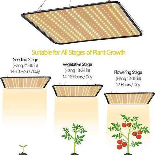 跨境热卖100W全光谱500led植物灯温室大棚蔬菜瓜果花卉多肉植物生