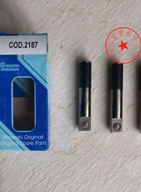 CODE 2187 喷瓷柱塞 RSV4G40 意大利AR水泵