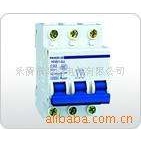 供应小型断路器 江苏辉能 HNB2Z-40
