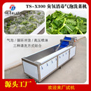 水果洗果机 超声波洗菜机 蔬菜鼓泡清洗机 商用臭氧洗菜机