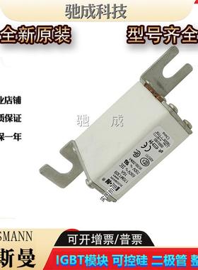 巴斯曼170M13 170M14系列 快速熔断器 现货供应品质保证欢迎咨询