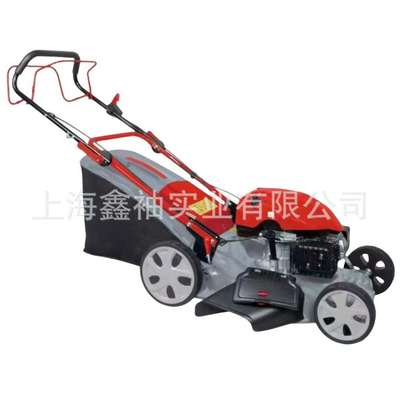 DU12176-51B3自走式草坪机草箱款汽油自走式割草机除草机