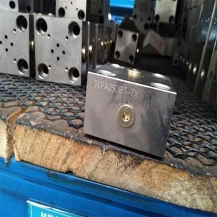 山东泰丰TAIFENG供应TLFA25DBWT 型盖板厂家直销