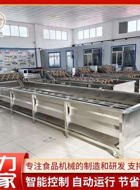 多功能酱菜清洗脱盐机 连续式酸黄瓜气泡清洗设备 商用橘子清洗机