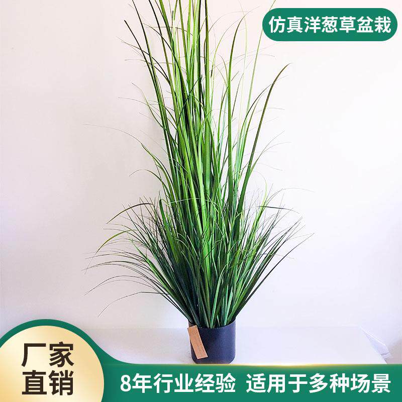 跨境仿真芦苇洋葱草盆栽商场橱窗落地造景假绿植摄影道具装饰摆件