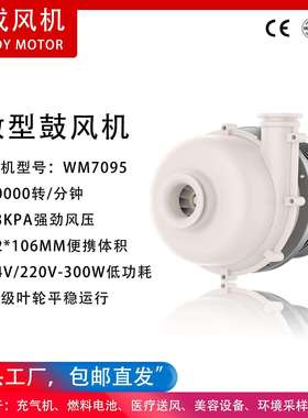 厂家直销环保采样设备用23kpa高压泵无刷直流鼓风机离心风机