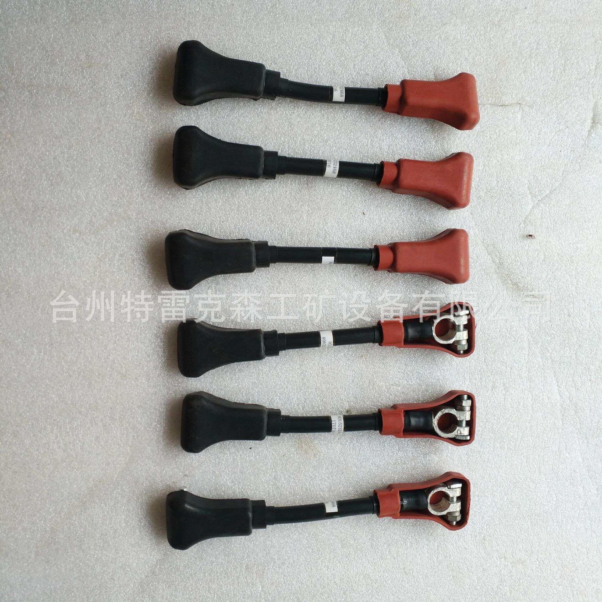 供应 TEREX parts TR35电缆 15232468 特雷克斯矿车配件,鲜花速递/花卉仿真/绿植园艺,割草机/草坪机,淘宝优惠券,粉丝福利购,淘宝优惠卷