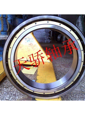 61956M 天骄薄壁轴承  6956-2RS 1000956M 铜保持架 61956-2RS