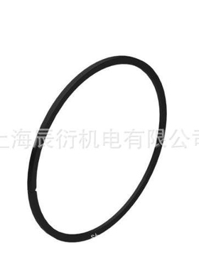 活塞进气环161-3425   1613425