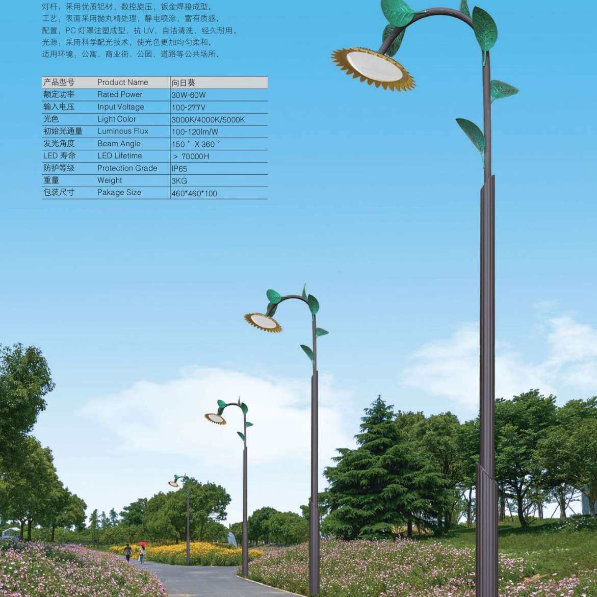 皇广景观灯-向日葵30W60W公园校园小区工厂生产 安装