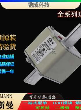 巴斯曼170M6900 170M6901 170M6902 现货直销 零售 方体熔断器