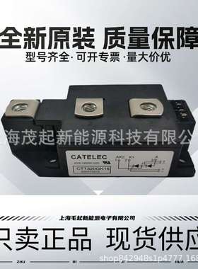 CTT500GK16BT CTT253GK16 CTT200GK16 CTT320GK16 CTT116GK16