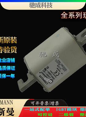 巴斯曼170M4145 170M4146 170M4147 大量现货销售 原装熔断器