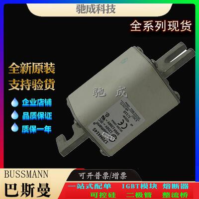 巴斯曼170M4145 170M4146 170M4147 大量现货销售 原装熔断器