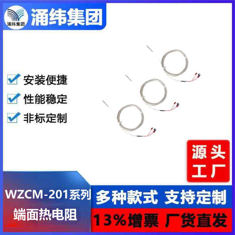 涌纬集团--端面热电阻 WZCM-201