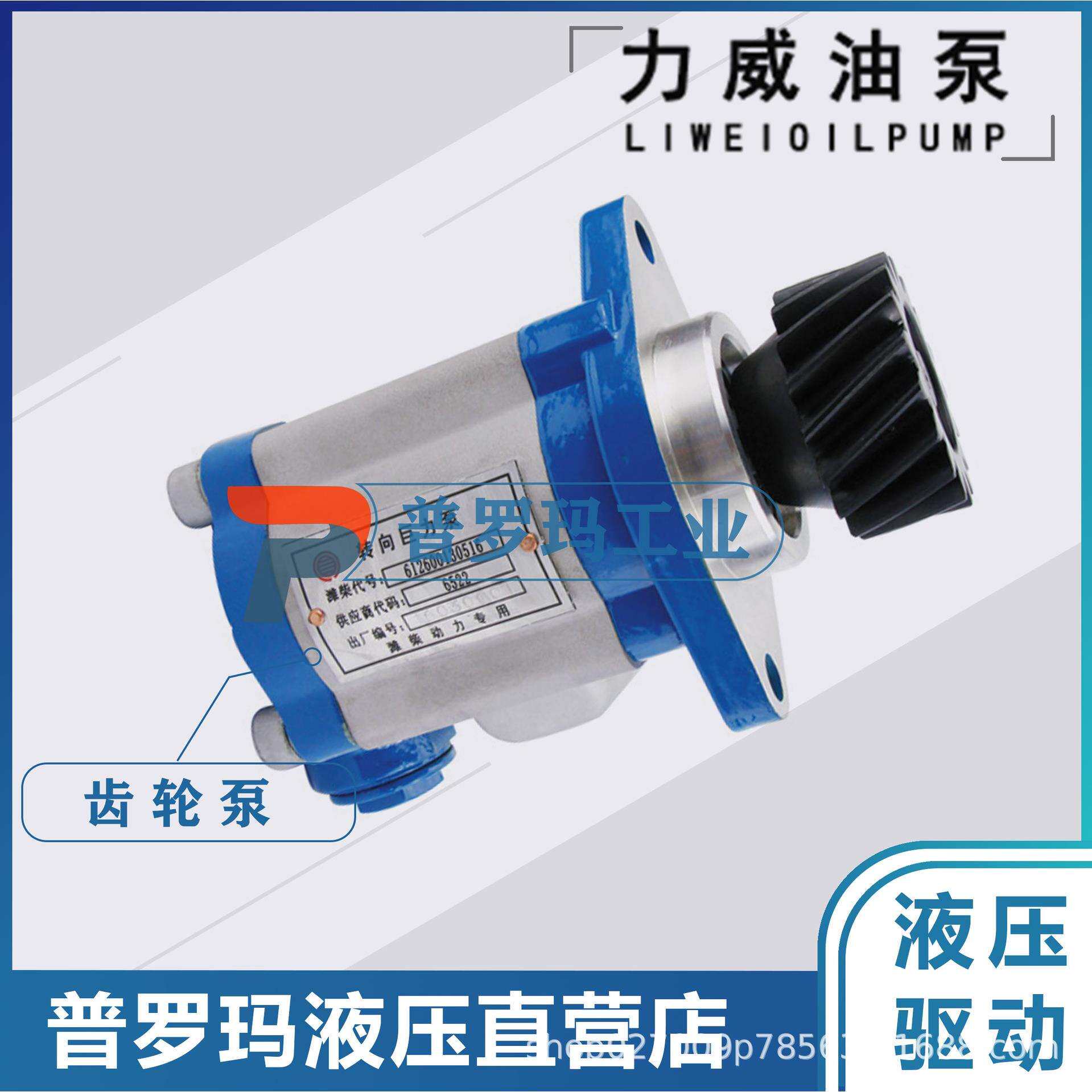 合肥力威3407020-A01-KM1AH动力车转向泵4DX转向泵QC16/13-4DX-KM