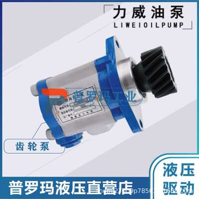 合肥力威3407020-A01-KM1AH动力车转向泵4DX转向泵QC16/13-4DX-KM