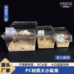 实验小鼠饲养笼小白鼠花枝鼠大鼠笼子盒子繁殖笼盒繁育笼