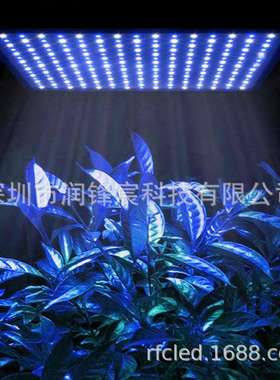 新品225灯全蓝植物补光灯15W 45W紫萝兰LED植物补光灯育苗种植灯