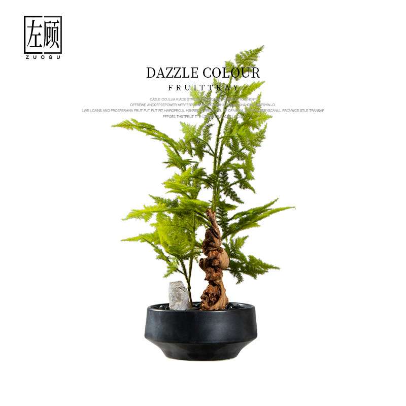 新中式日式仿真文竹绿植盆景案几书房书法桌售楼部洽谈桌盆栽摆件