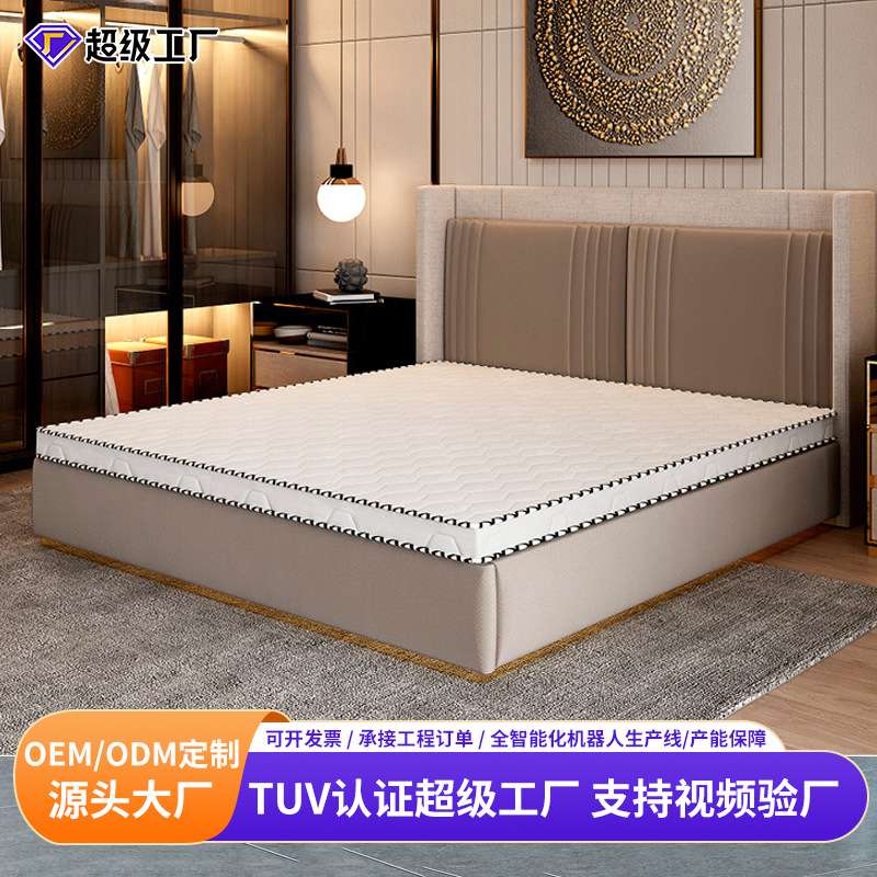 床垫双人家用五星酒店宾馆椰棕垫经济型民宿榻榻米棕榈弹簧垫子