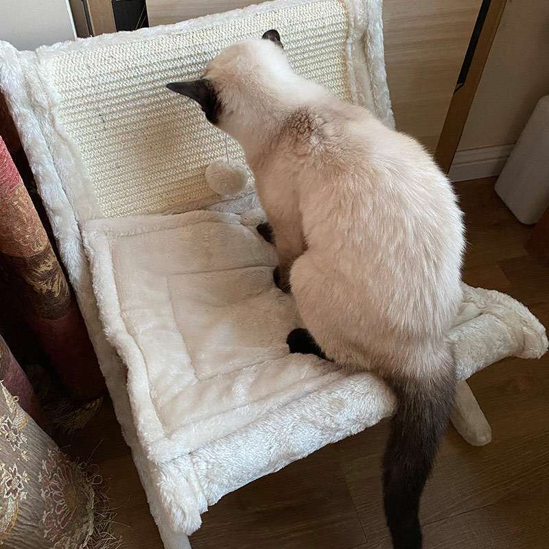 宠物猫咪沙发床猫晒太阳椅子窗台睡觉躺椅猫床剑麻猫抓板猫窝睡床