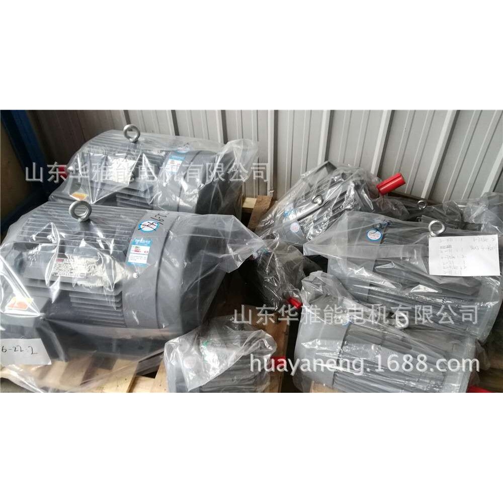 泰富西玛文宝电动机端盖YL/YC132M-8-3电机失电制动以防锈蚀损伤