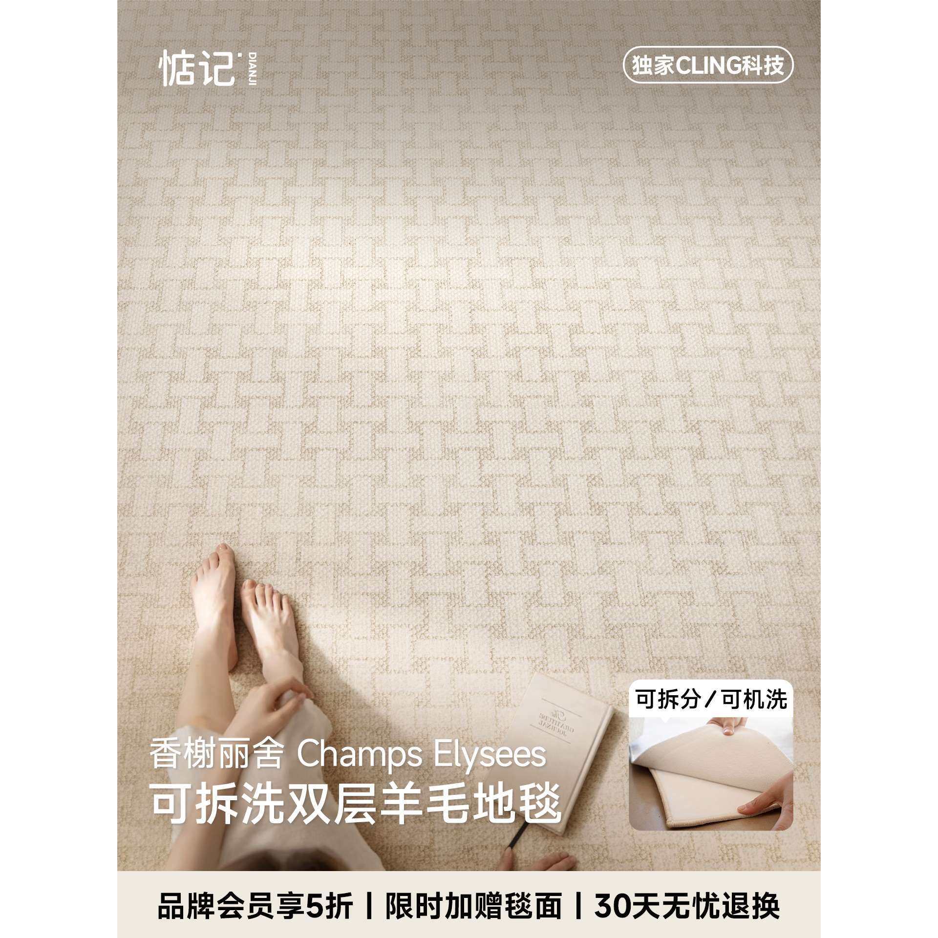 惦记可拆洗羊毛地毯香榭丽舍新西兰进口可机洗客厅法式轻奢无异味