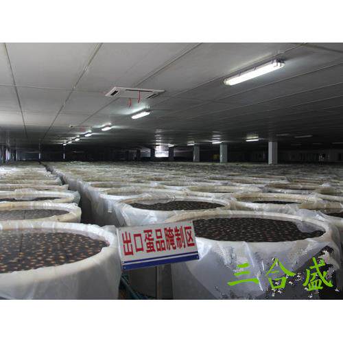 塑料圆桶500L胶桶水桶发酵桶搅拌桶500公斤食品级白色水产腌菜桶