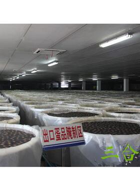 塑料圆桶500L胶桶水桶发酵桶搅拌桶500公斤食品级白色水产腌菜桶