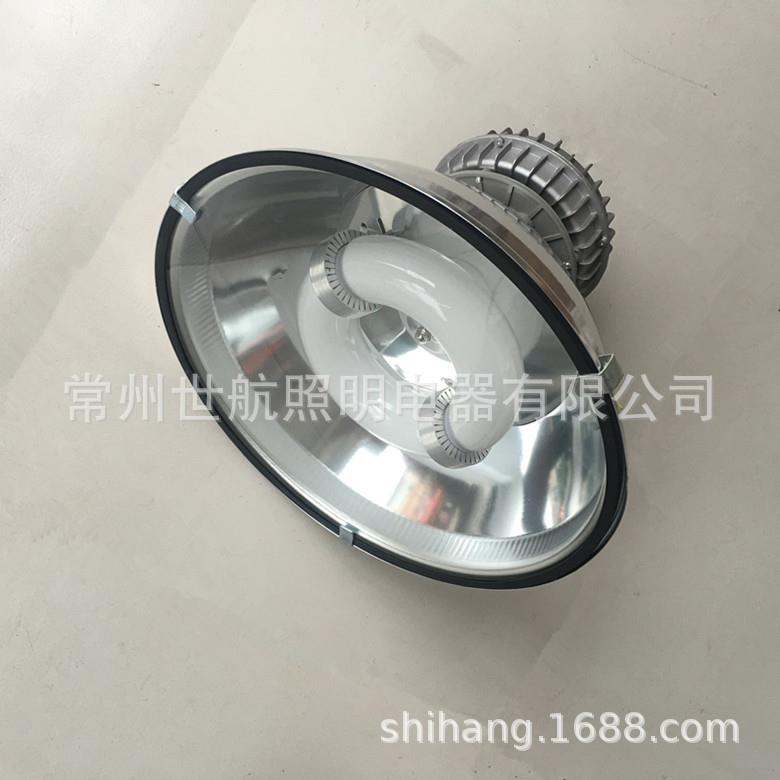 厂家镜面灯罩配装玻璃无极灯高频低频150瓦100瓦集装箱整柜