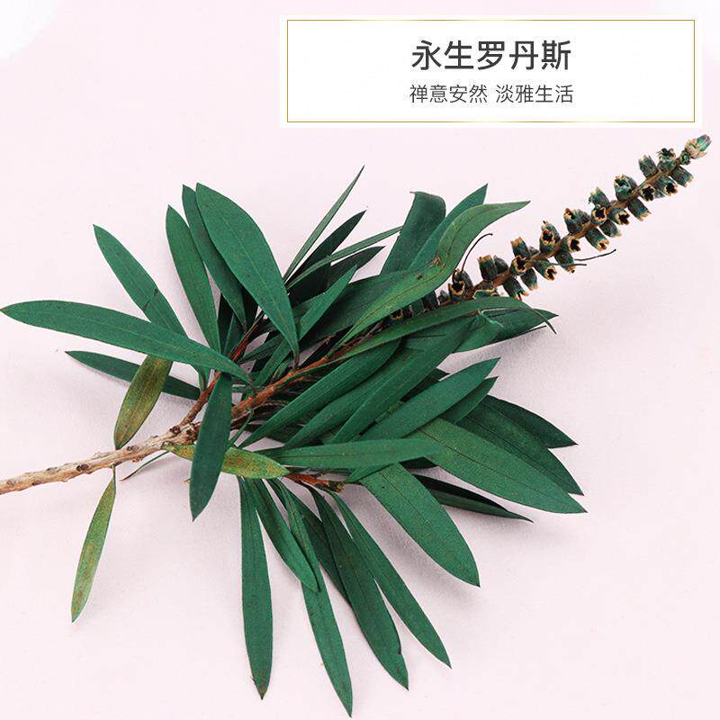 厂家直供永生佛树枝 植物保鲜花 摄影中式装饰禅佛摆件