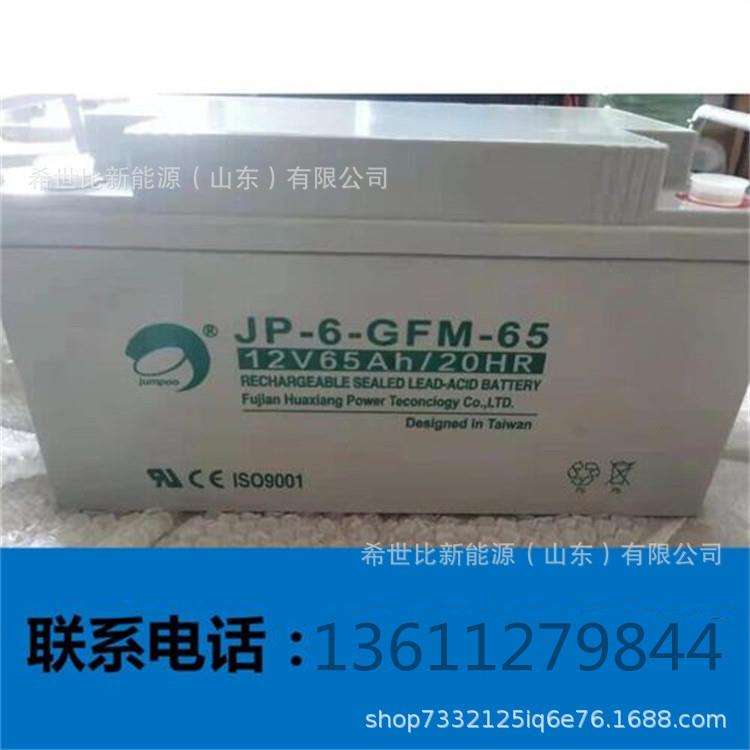 劲博蓄电池JP-6-GFM-65安全防护报警系统12V65AH发电站电力系统