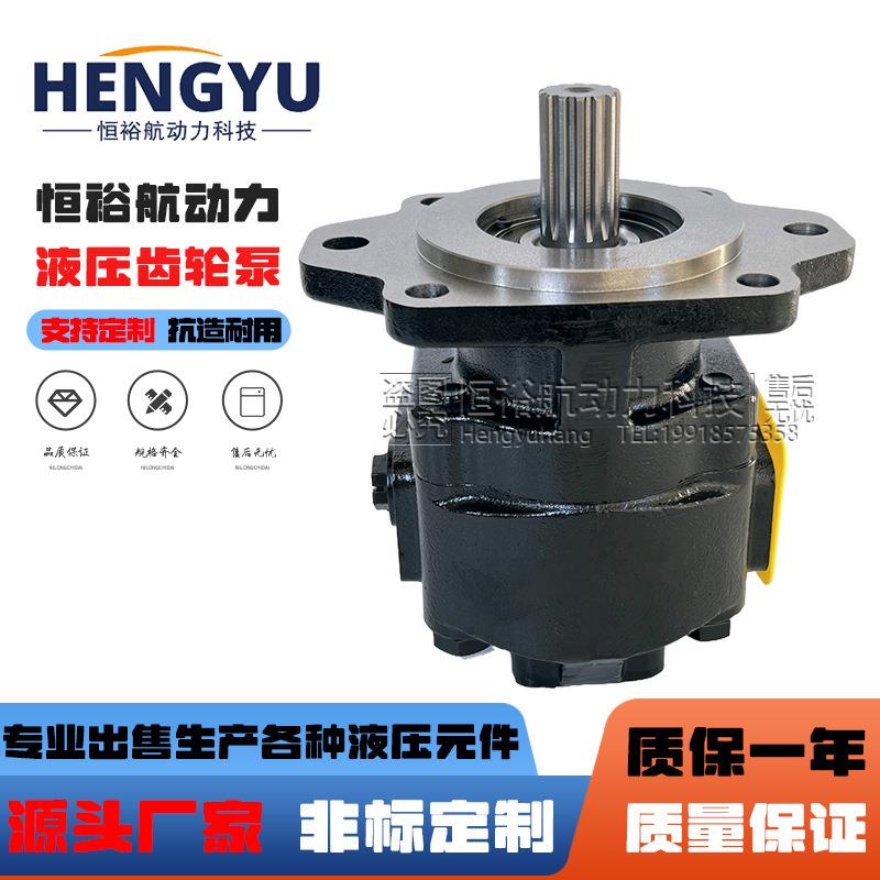 凯斯帕CASAPPA齿轮泵KP50.51D0-06S8液压油泵KP40.121S0 KP30.38