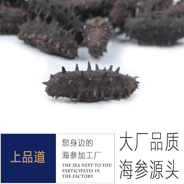 【海参工厂】淡干海参辽刺参干货厂家直供50g天然