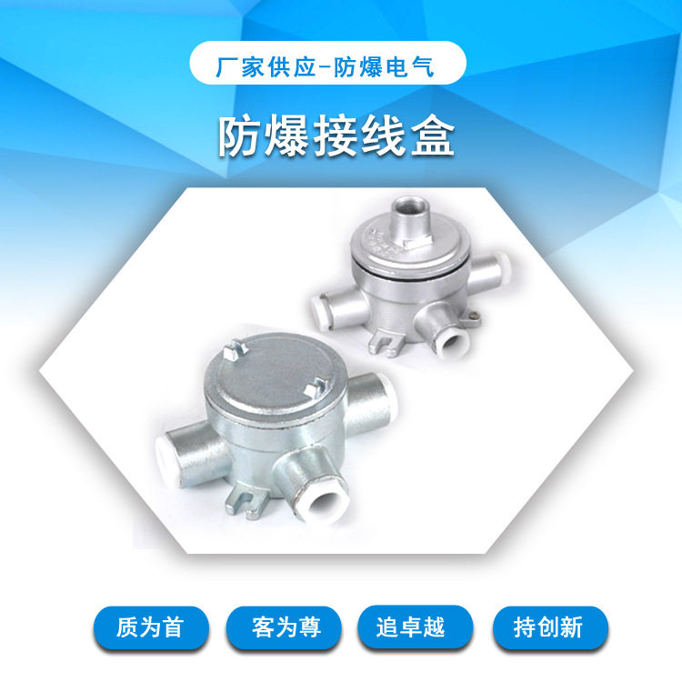 防爆接线盒铸钢Q235镀锌化工粉尘环境三通IIC端子密封粉尘防护