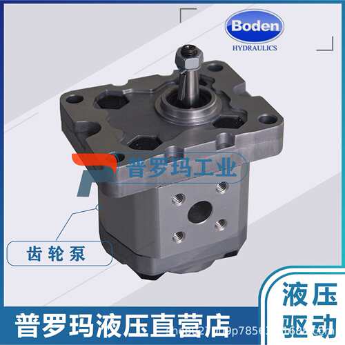 BODEN BHP2.6B0/BHP2.6A1/BHP2.6A2 DSR36/38/40/44-R 博顿齿轮泵