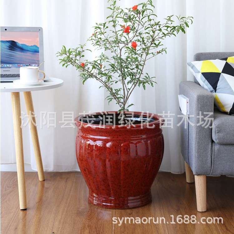 白色陶瓷花盆2021新款设计感大号北欧简约大口径落地花盆深高盆