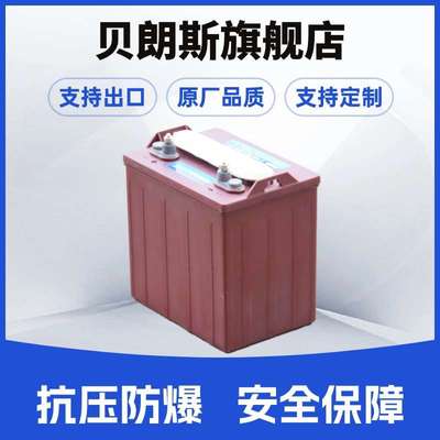 T-875 Trojan电瓶 8V170Ah  厂价  电动观光车蓄电池 支持出口