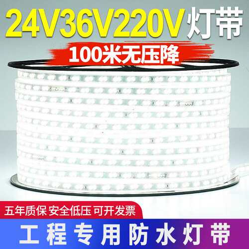 LED灯带220v户外防水地下室隧道工地亮化装饰照明白光灯条24V36V