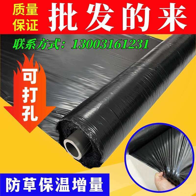 除黑色地膜农用种植果园蔬菜防种菜黑地膜果树塑料薄膜加厚,玩具/童车/益智/积木/模型,遥控车升级件/零配件,淘宝优惠券,粉丝福利购,淘宝优惠卷