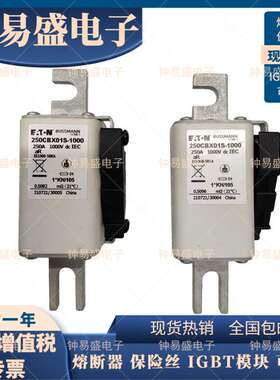 BUSSMANN熔断器 250CBX01S-1000 储能式充电桩 250 315 350 400