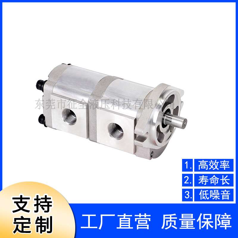 征全直销液压机床高压齿轮泵双联齿轮泵HGP-33A 液压齿轮油泵厂家
