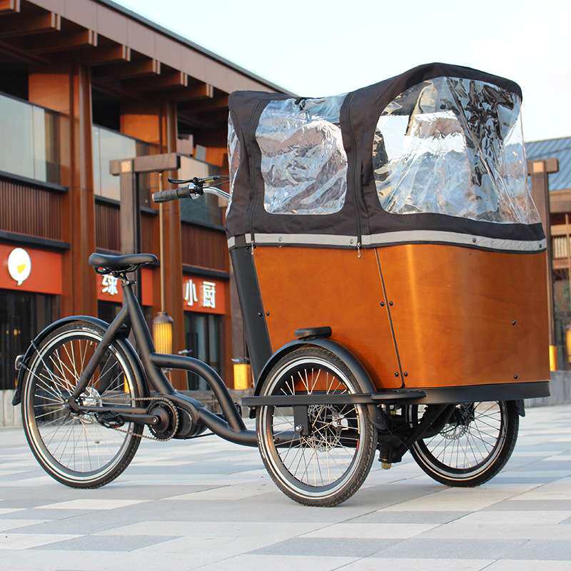 中置款cargo bike倒置电动三轮车东北倒骑驴货运车接送孩子宠物车