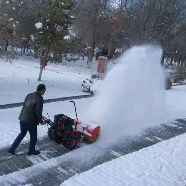 厂家现货小型扫雪机汽油除雪滚刷小区家用物业路面大棚清雪机除雪