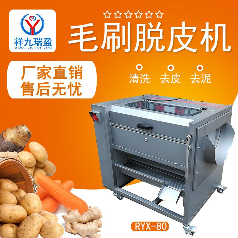 商用毛辊清洗机红头菜马铃薯去皮清洗机芋头毛刷清洗去皮机厂家