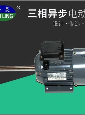 YSW63烘箱长轴高温电机三相异步铝壳电动机