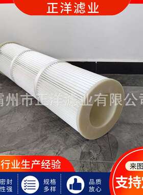 PIB210072互换安满能除尘滤芯油雾收集器聚酯除尘器滤芯滤筒